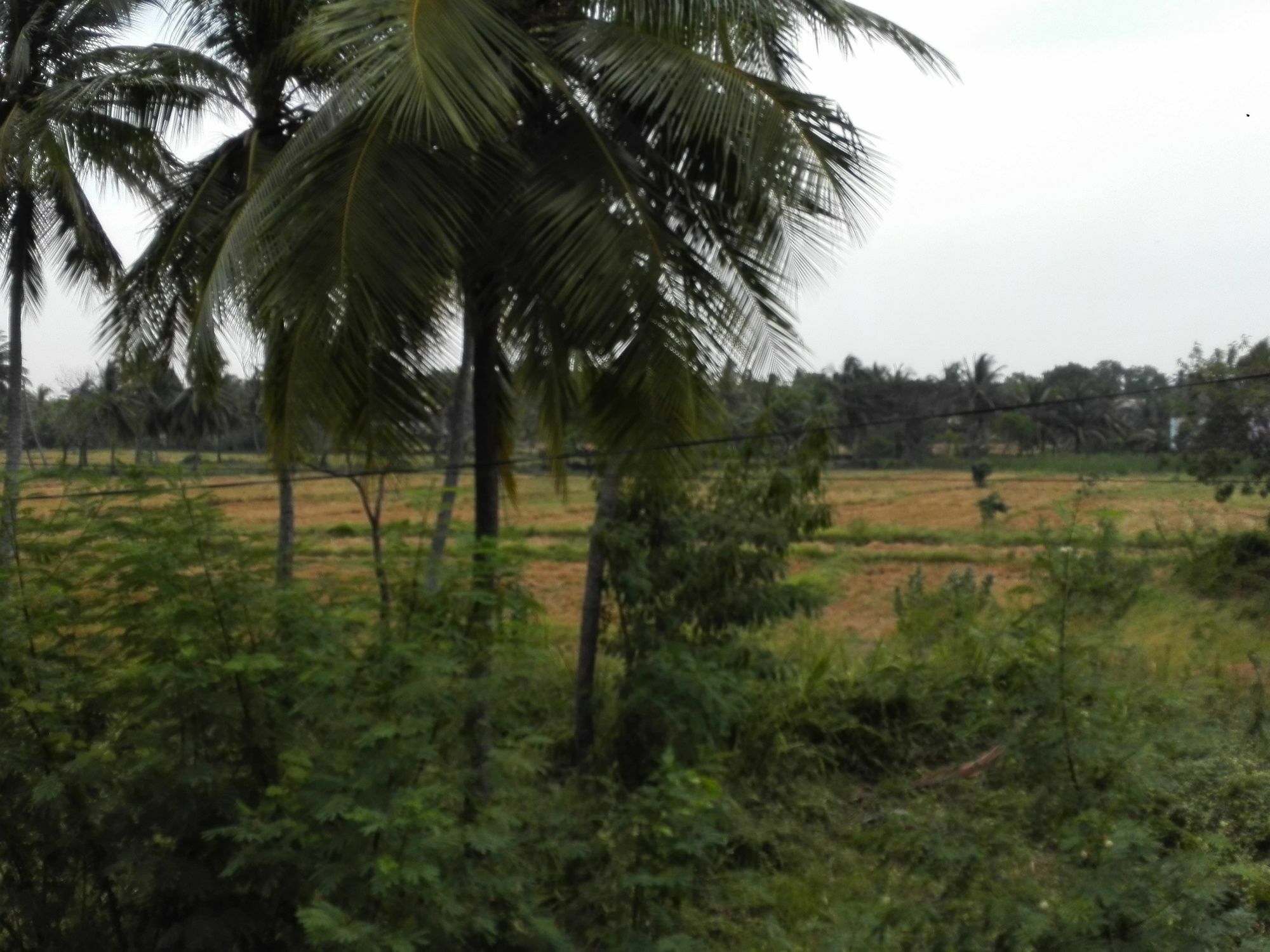 Salubrious Resort Anuradhapura Dış mekan fotoğraf