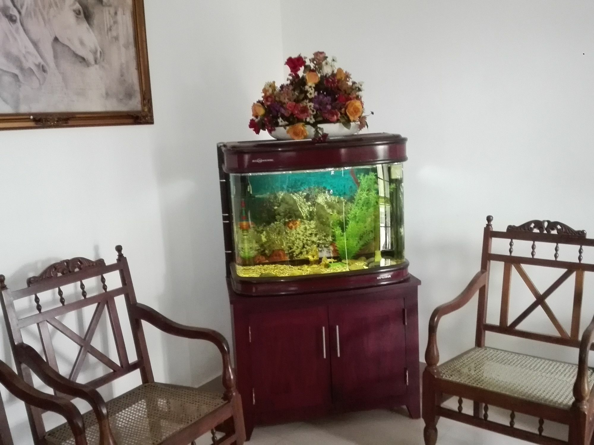 Salubrious Resort Anuradhapura Dış mekan fotoğraf